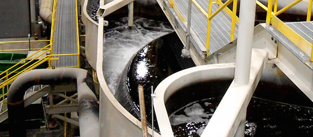 Kelin Carbon in Column for Gold Recovery