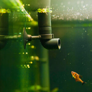 Aquarium Filters