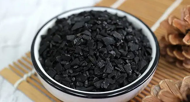 Activated Carbon Used in Pharmaceutical Industry