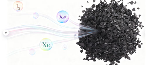 What Type Of Activated Carbon Should Be Used For Radioactive Gases From Nuclear Power Plants?